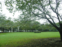 小菅東スポーツ公園