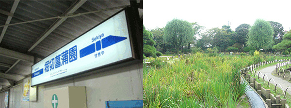 堀切菖蒲園周辺情報