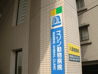 マリン動物病院
