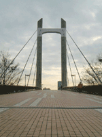 東京都江東区のペット可(犬 猫)ペット共生賃貸マンション タワー ド エコ ユニ 木場公園