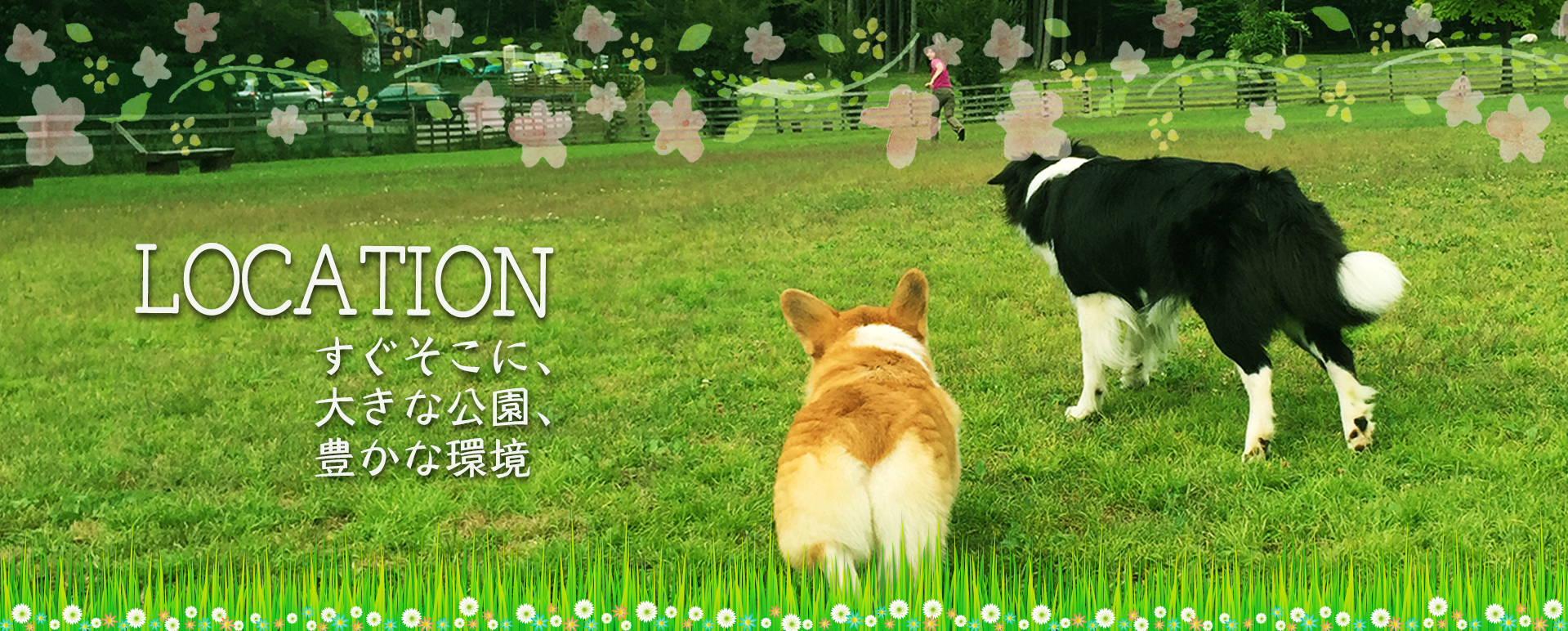 すぐそこに、大きな公園、豊かな環境