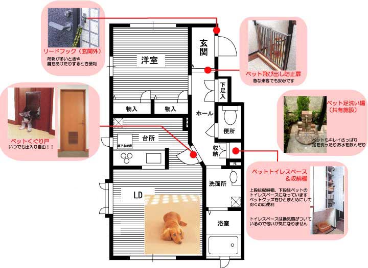 ペット共生型　マンション　メイズ　ペットの設備