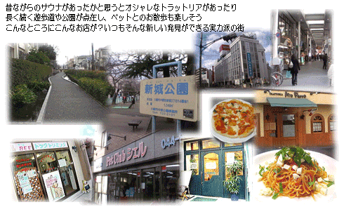 ＪＲ南武線「武蔵新城」駅　徒歩９分　ペット共生型　マンション　メイズ　周辺