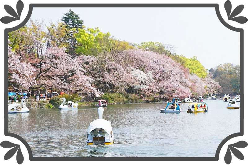 井の頭恩賜公園