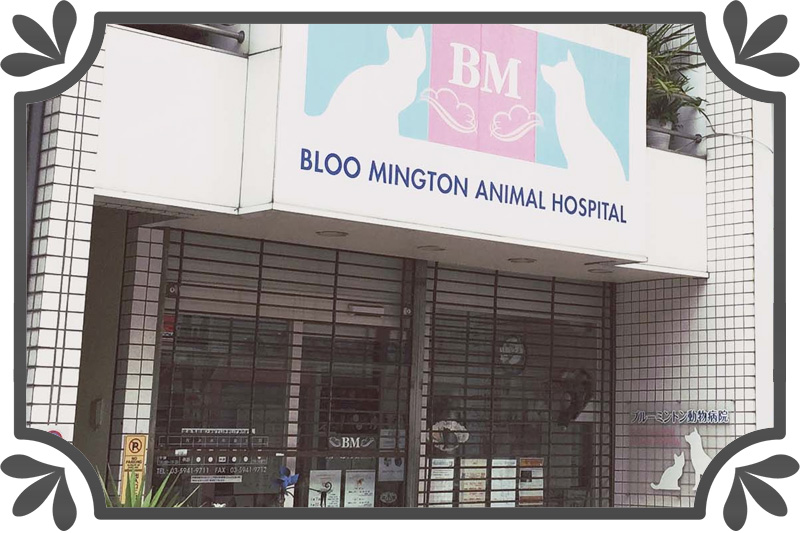 ブルーミントン病院