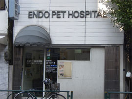 東京都新宿区大久保の動物病院 エンドー動物病院