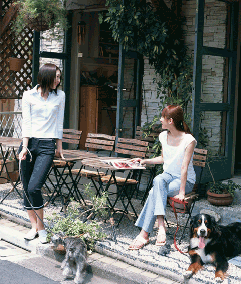 ペット共生型マンション「パルティー」　東急田園都市線用賀駅徒歩６分