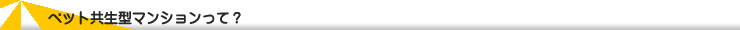 ペット共生型賃貸マンション　東武大師線「大師前」徒歩１２分　プラッツ　ペット共生型マンションについて