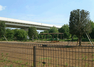 舎人公園ドッグラン