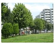 ペット共生型賃貸マンション　東武大師線「大師前」徒歩１２分　プラッツ　徒歩１０分以内の公園　袋在家公園