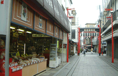 ペット共生型賃貸マンション　プラッツ　東武大師線　大師前駅