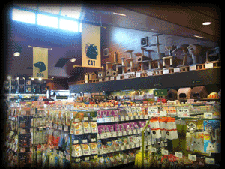 ペットフォレスト鷺沼店