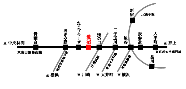 東急田園都市線「鷺沼」徒歩17分　ペット可ロフト付デザイナーズマンション「ジャルディーノ」電車路線図