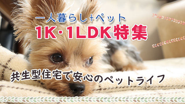 【1K・1DK・1LDK特集】ひとり暮らし＋ペットにぴったりなお部屋