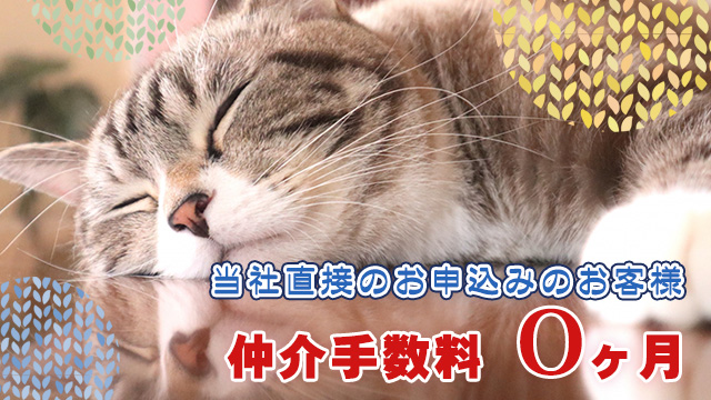 弊社直接のご案内・お申込みで仲介手数料が０ヶ月になるお部屋！