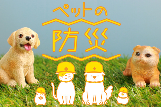 ペット防災「ペットの災害対策」～できることは事前に準備を！同行避難、ペットのしつけ、ペット災害グッズ～