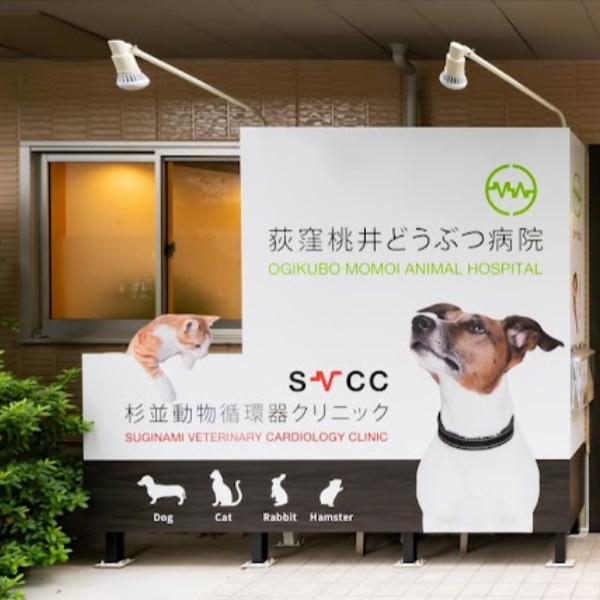 荻窪桃井どうぶつ病院