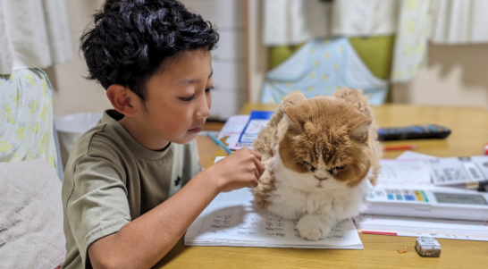 ペット川柳 投稿写真例