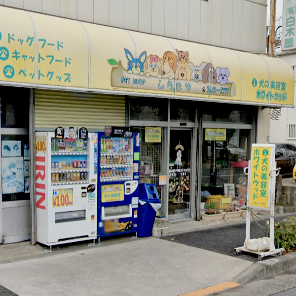 ホワイトウッド☆犬の美容室