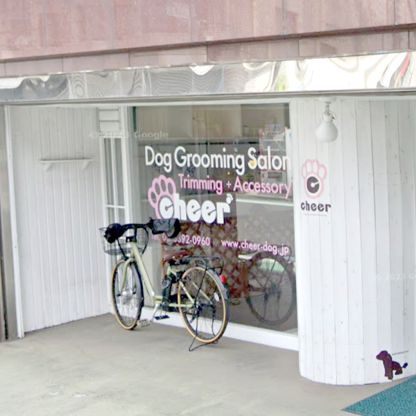 cheer（チアー）