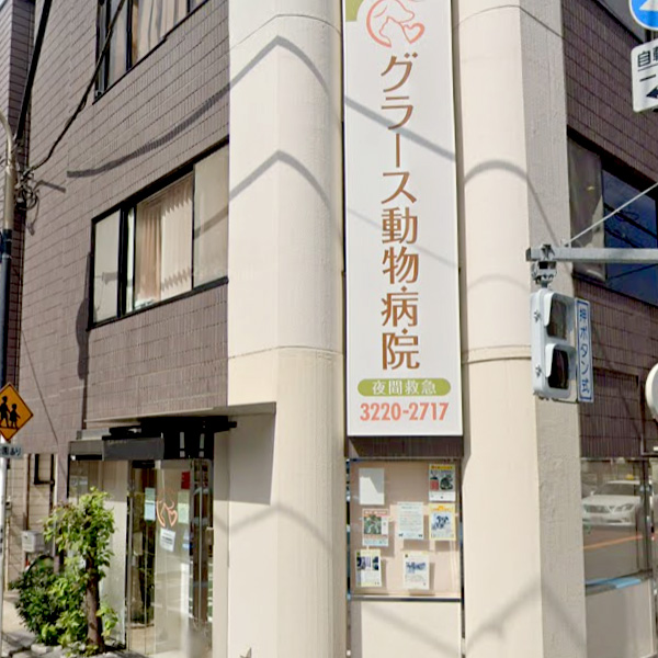 グラース動物病院(本院) 