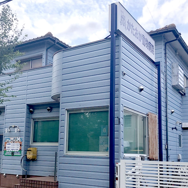 かたおか動物病院