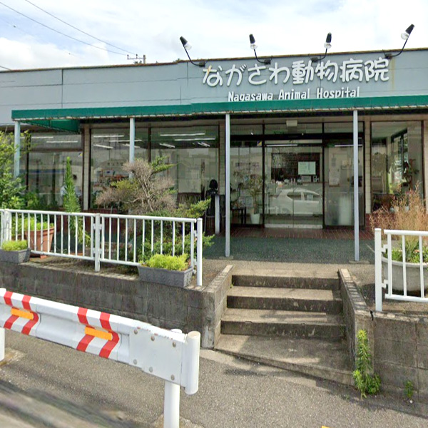 ながさわ動物病院