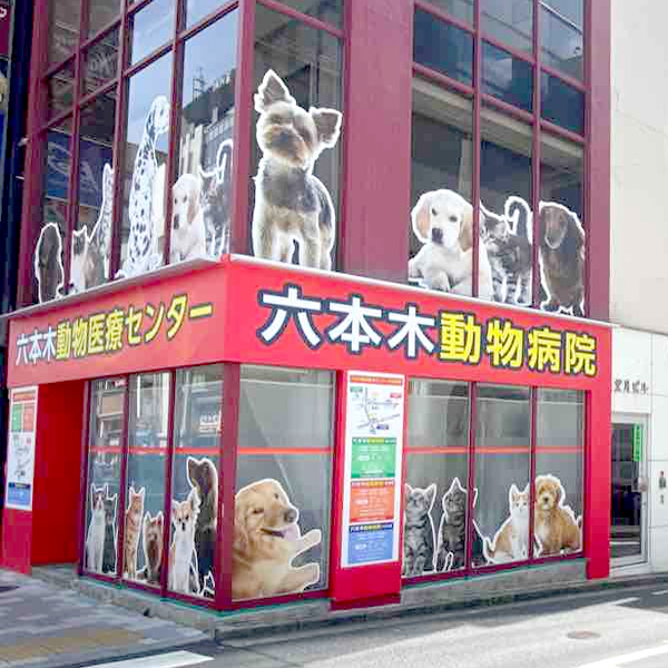 六本木動物医療センター<br />
SKG 六本木動物病院