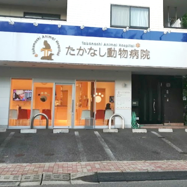 たかなし動物病院
