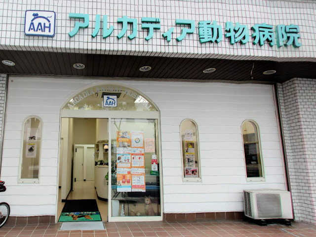 アルカディア動物病院