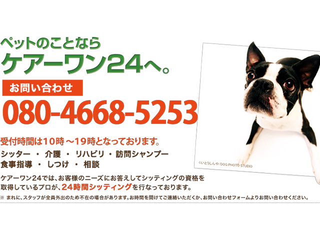 Care wan24（ペットシッター）