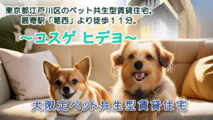 ★新築★2025年7月中旬完成予定！東京メトロ東西線「葛西」徒歩 11分「コスゲヒデヨ」先行入居者募集！！