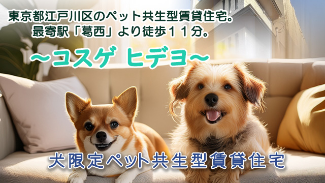 ★新築★2025年7月中旬完成予定！東京メトロ東西線「葛西」徒歩 11分「コスゲヒデヨ」先行入居者募集！！