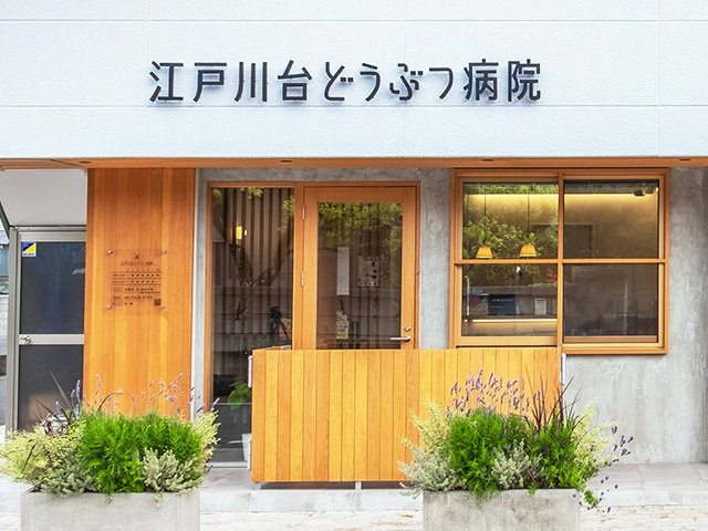 江戸川台どうぶつ病院