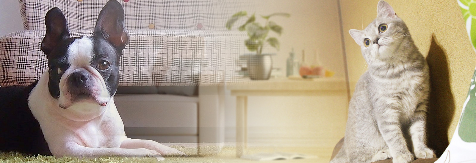 1K~2LDKのお部屋があります。