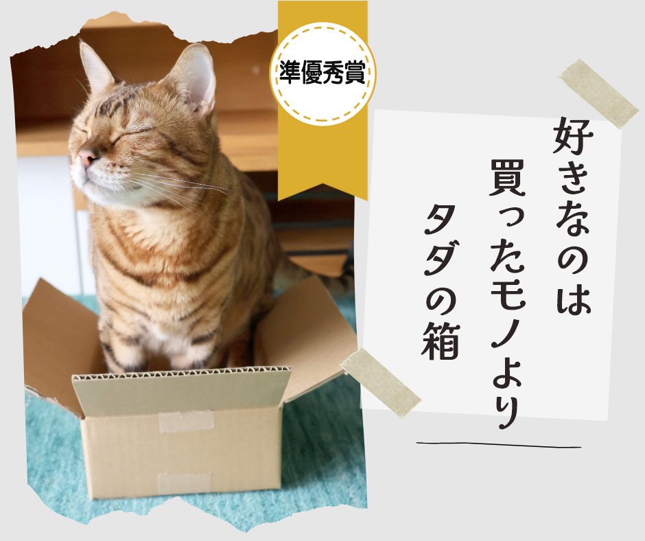 ペット川柳2026　準優秀賞