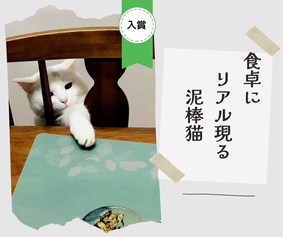 ペット川柳2026　入選作品②