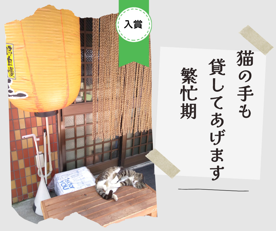 ペット川柳2026　入選作品⑦
