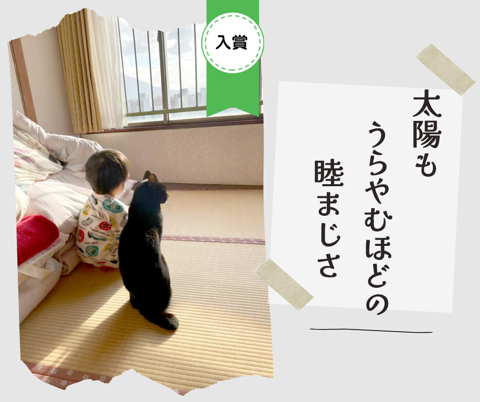 ペット川柳2026　入選作品⑨