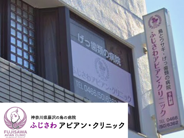 ふじさわアビアン・クリニック