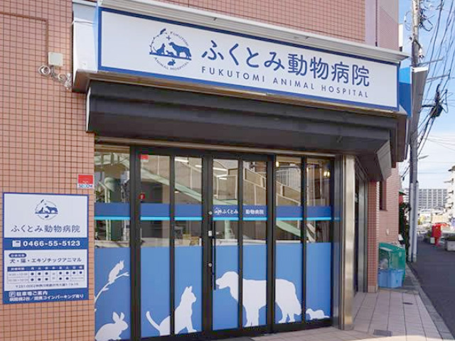 ふくとみ動物病院