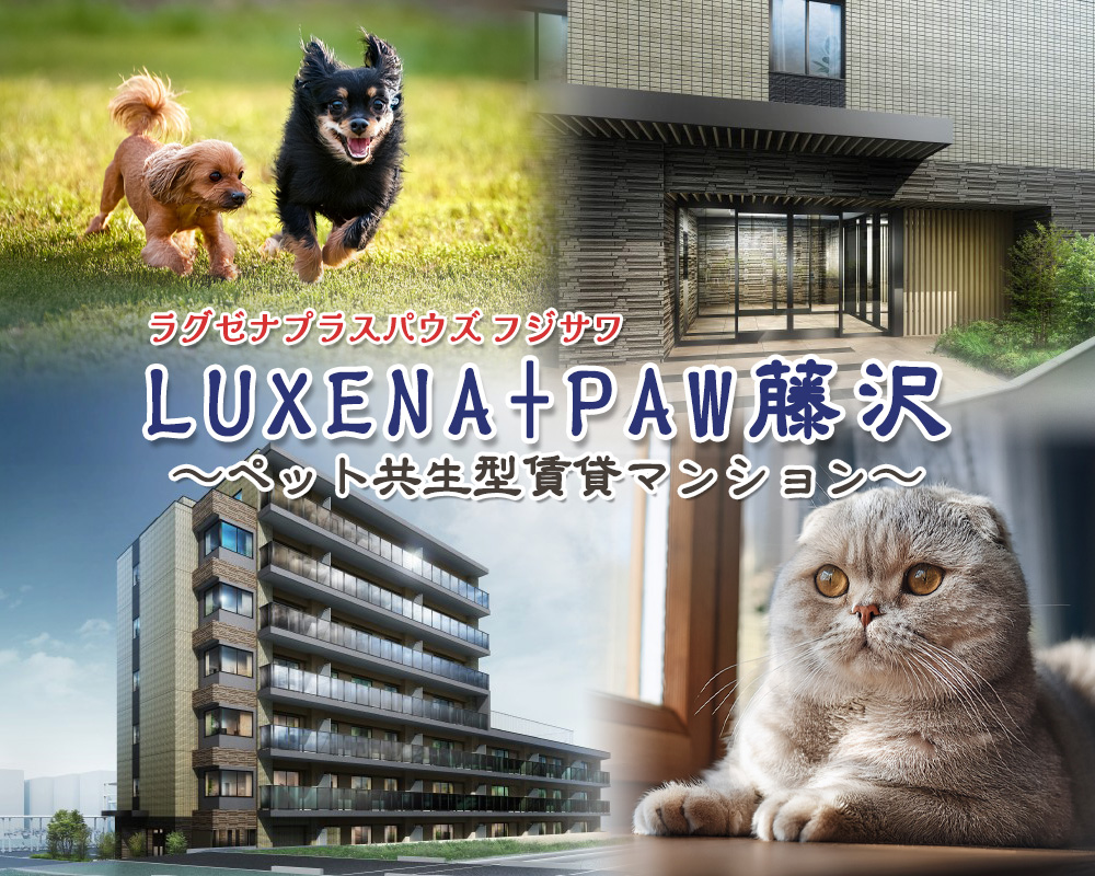 LUXENA+PAWS藤沢