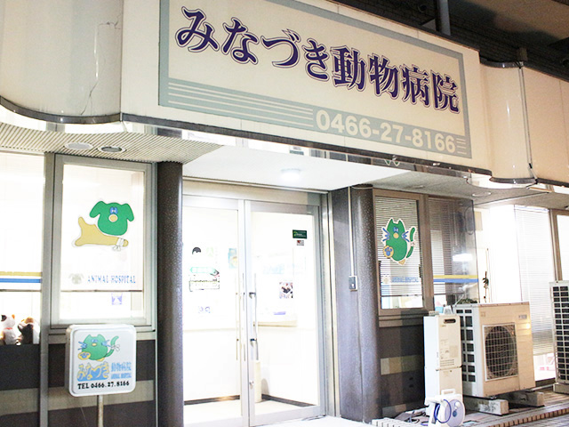 みなづき動物病院