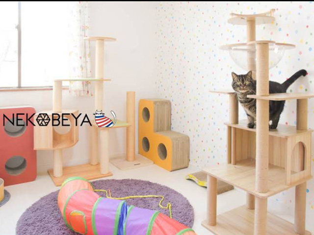 ねこべや湘南藤沢店