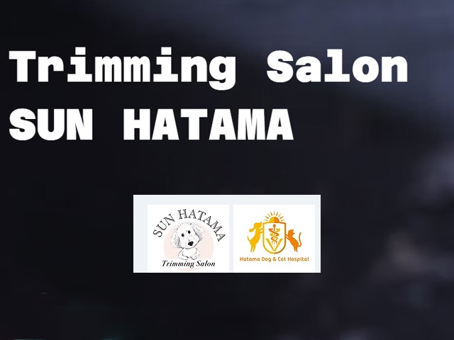 Trimming Salon SUN HATAMA