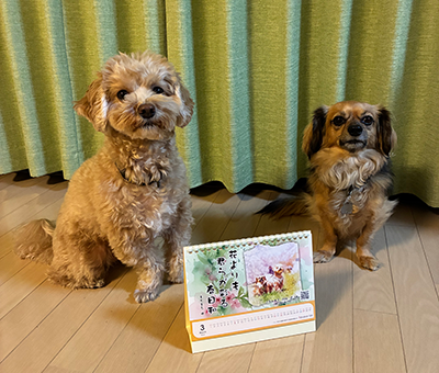 ペット川柳カレンダー2026 入賞者コメント　3月