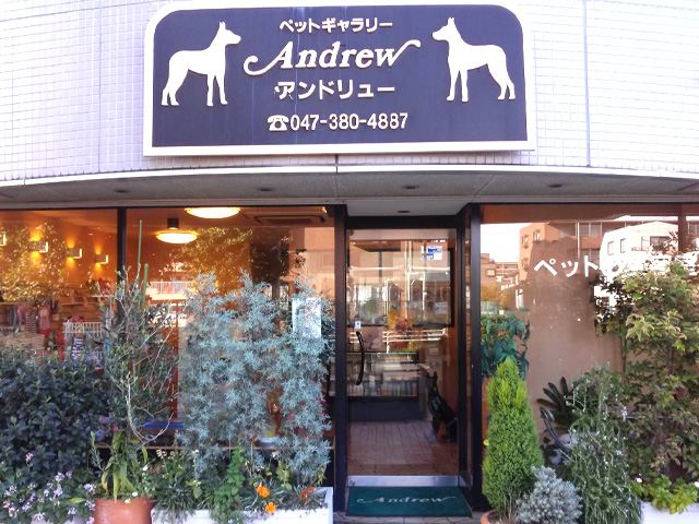 ペットギャラリーアンドリュー