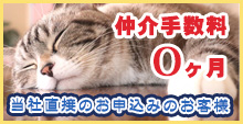 仲介手数料０ヶ月ペット可物件キャンペーン